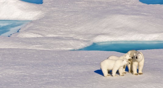 Northwest Passage Landing Sites