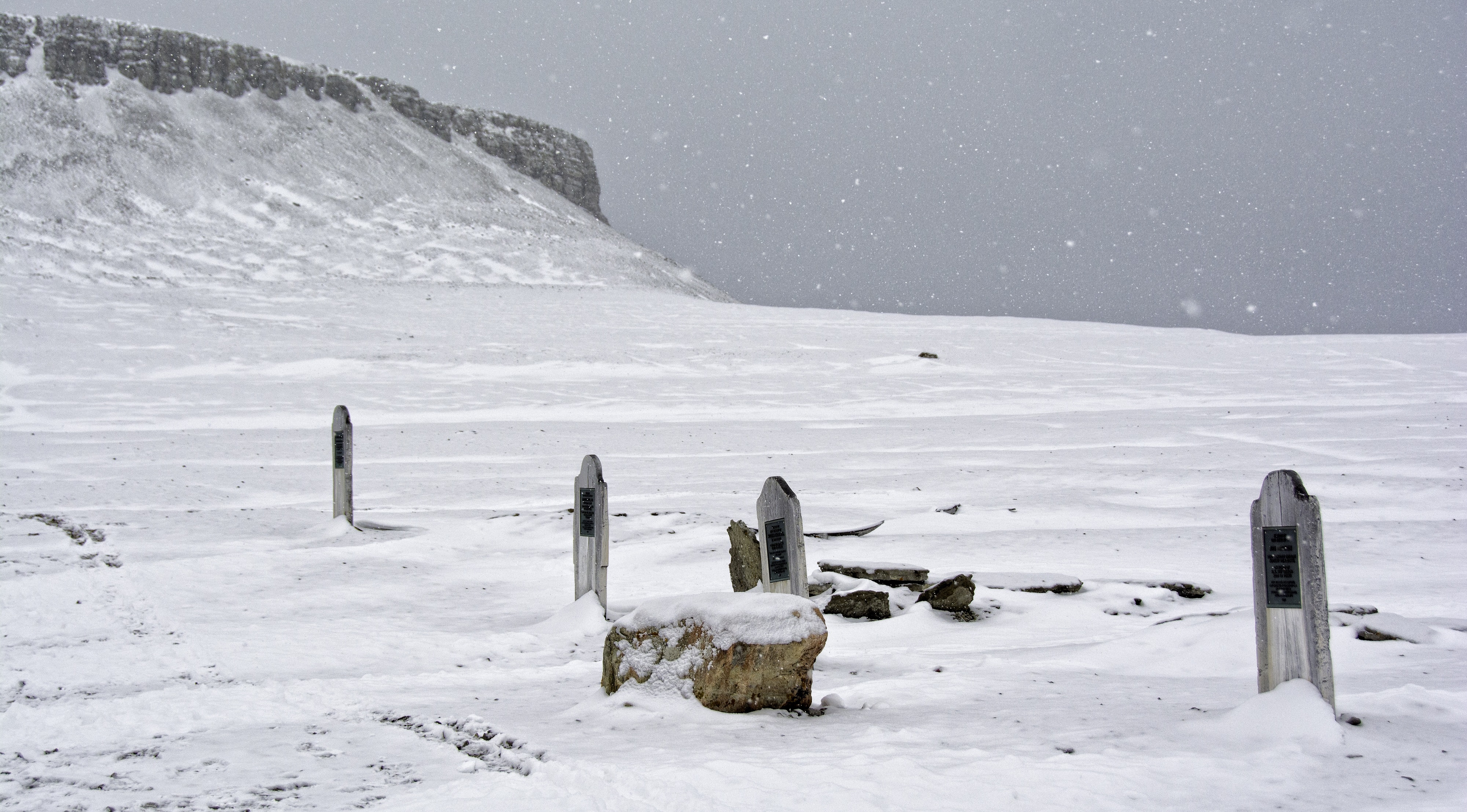 Cruises to the Canadian Arctic