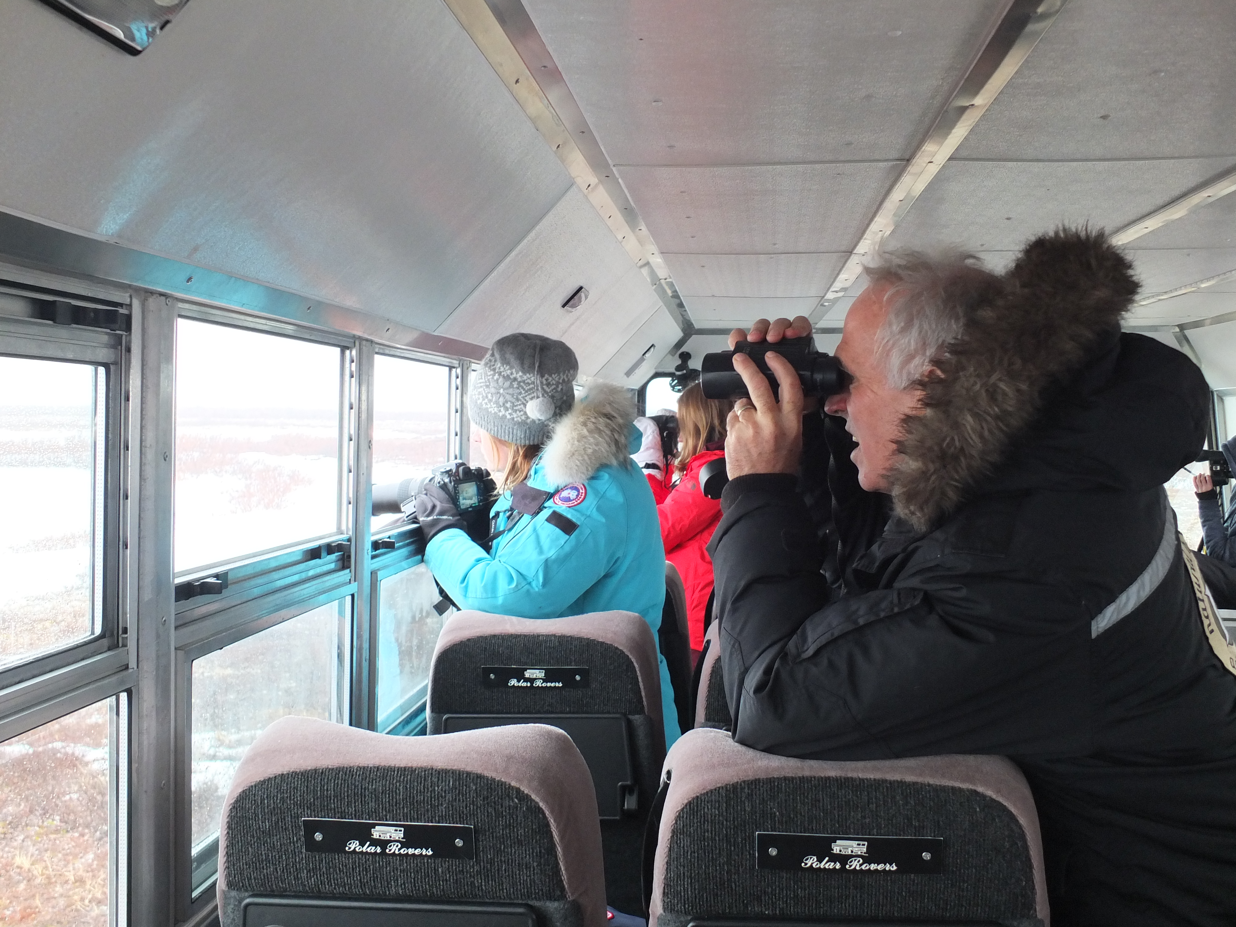 Ice Bear Tundra Lodge Adventure