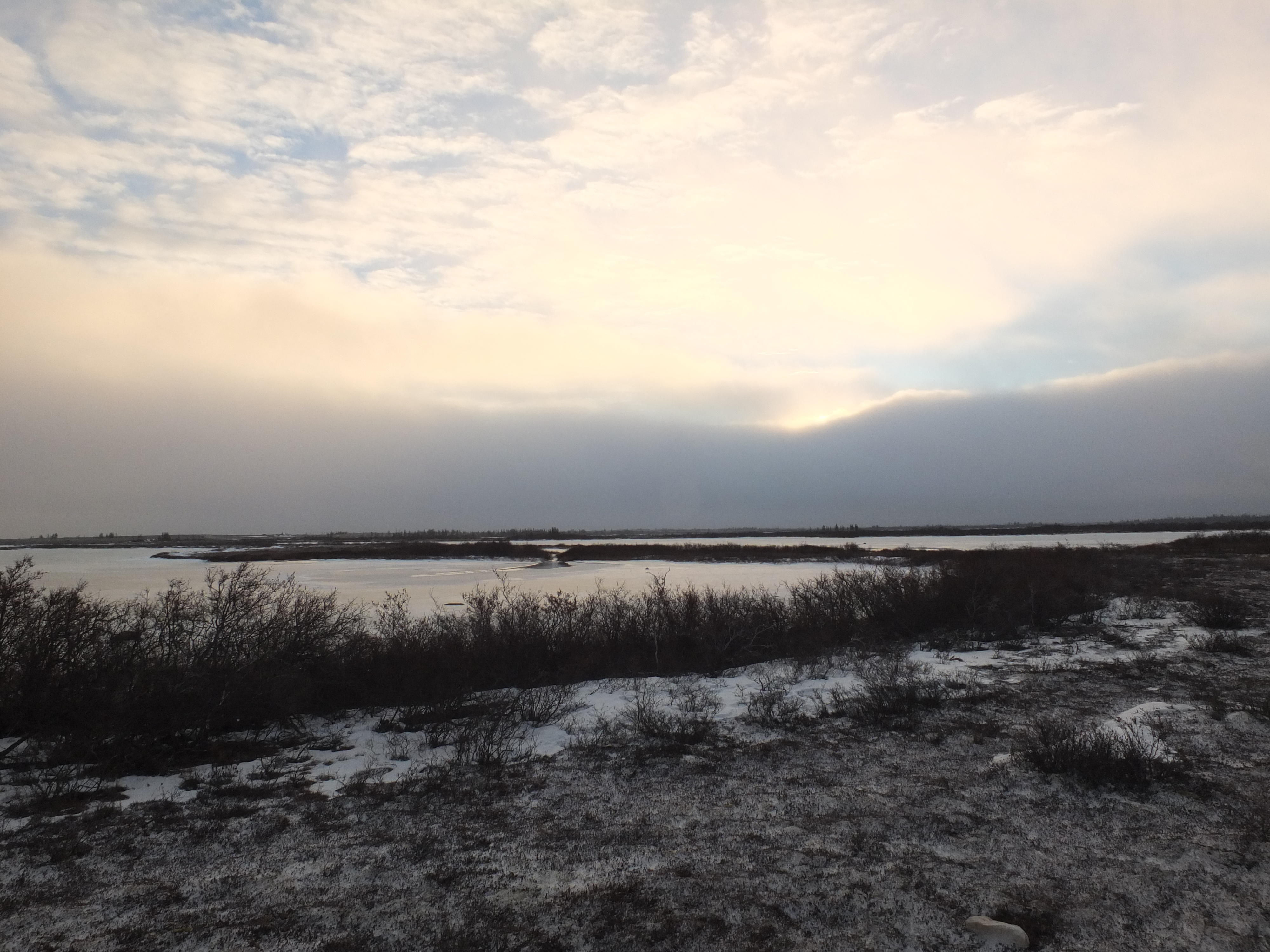 When to visit the Arctic