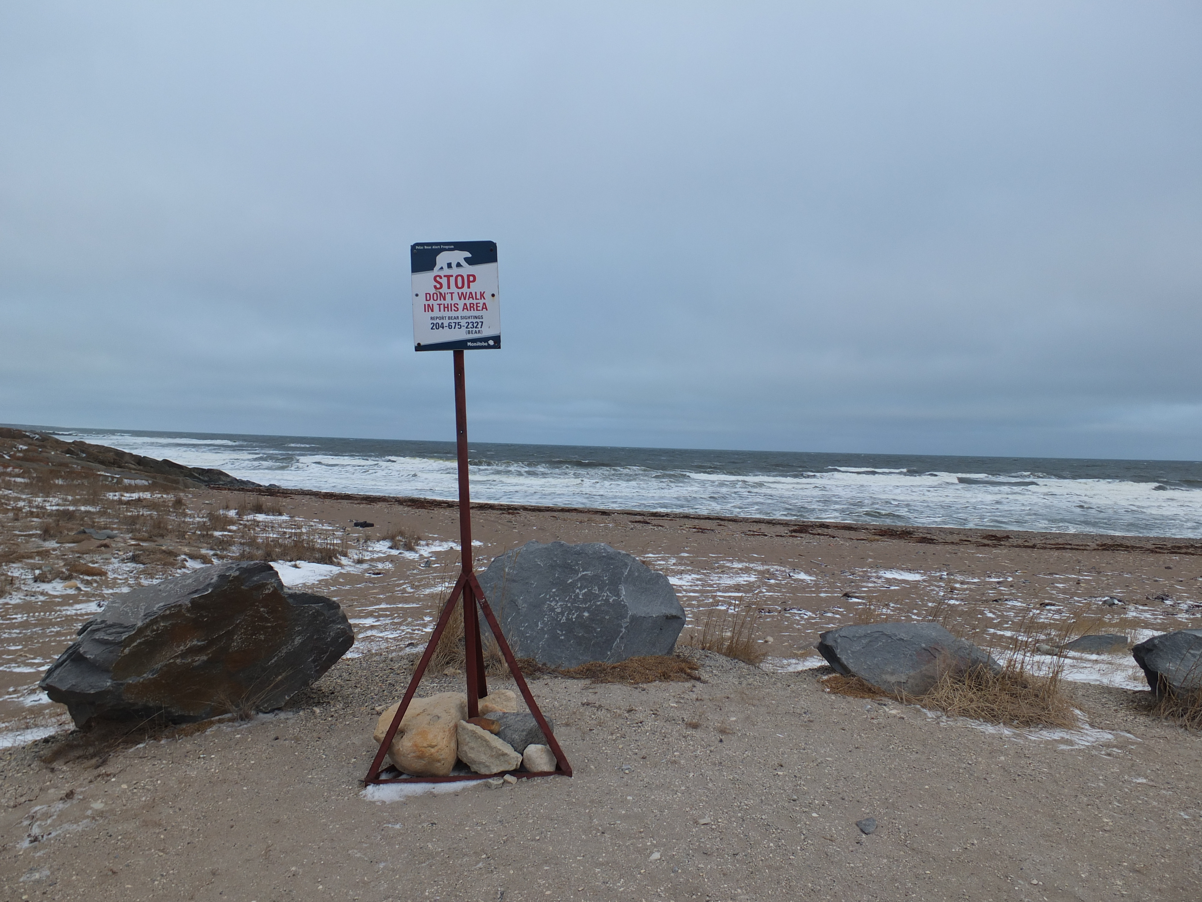 Classic Polar Bear Photographic Safari