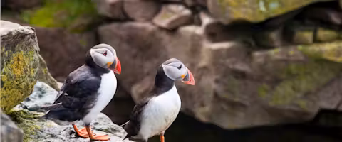 Arctic bound: Scotland to Svalbard