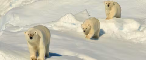 Spitsbergen Circumnavigation