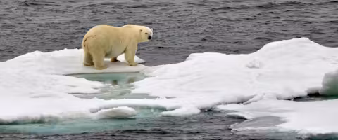 Wrangel Island Explorer