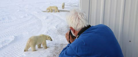 Churchill Polar Bear Adventure: Tundra & Town