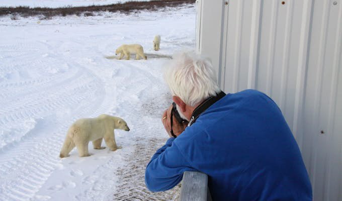 Churchill Polar Bear Adventure: Tundra & Town