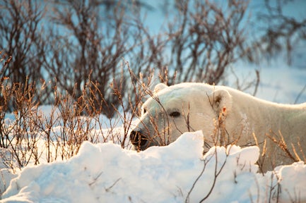 Places to visit in the Arctic