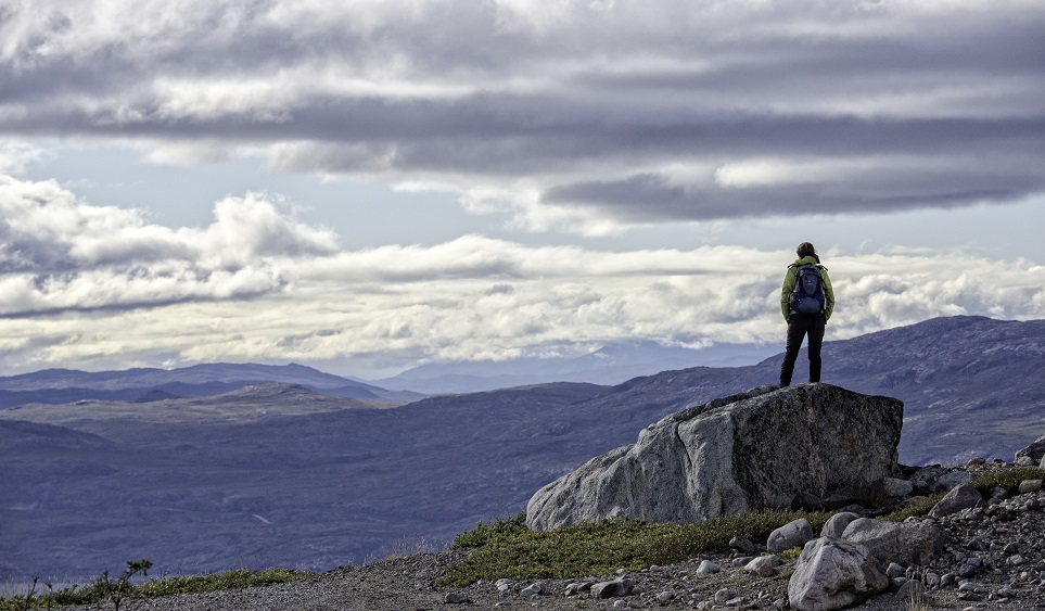 Returning home from the Arctic