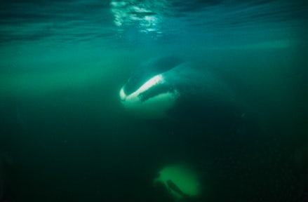 Photography in the Arctic