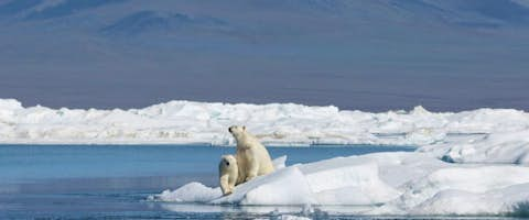 Chukotka and Wrangel Island Explorer