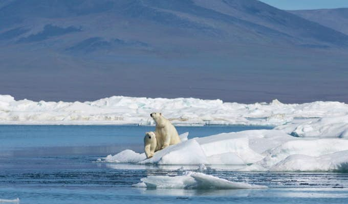 Chukotka and Wrangel Island Explorer