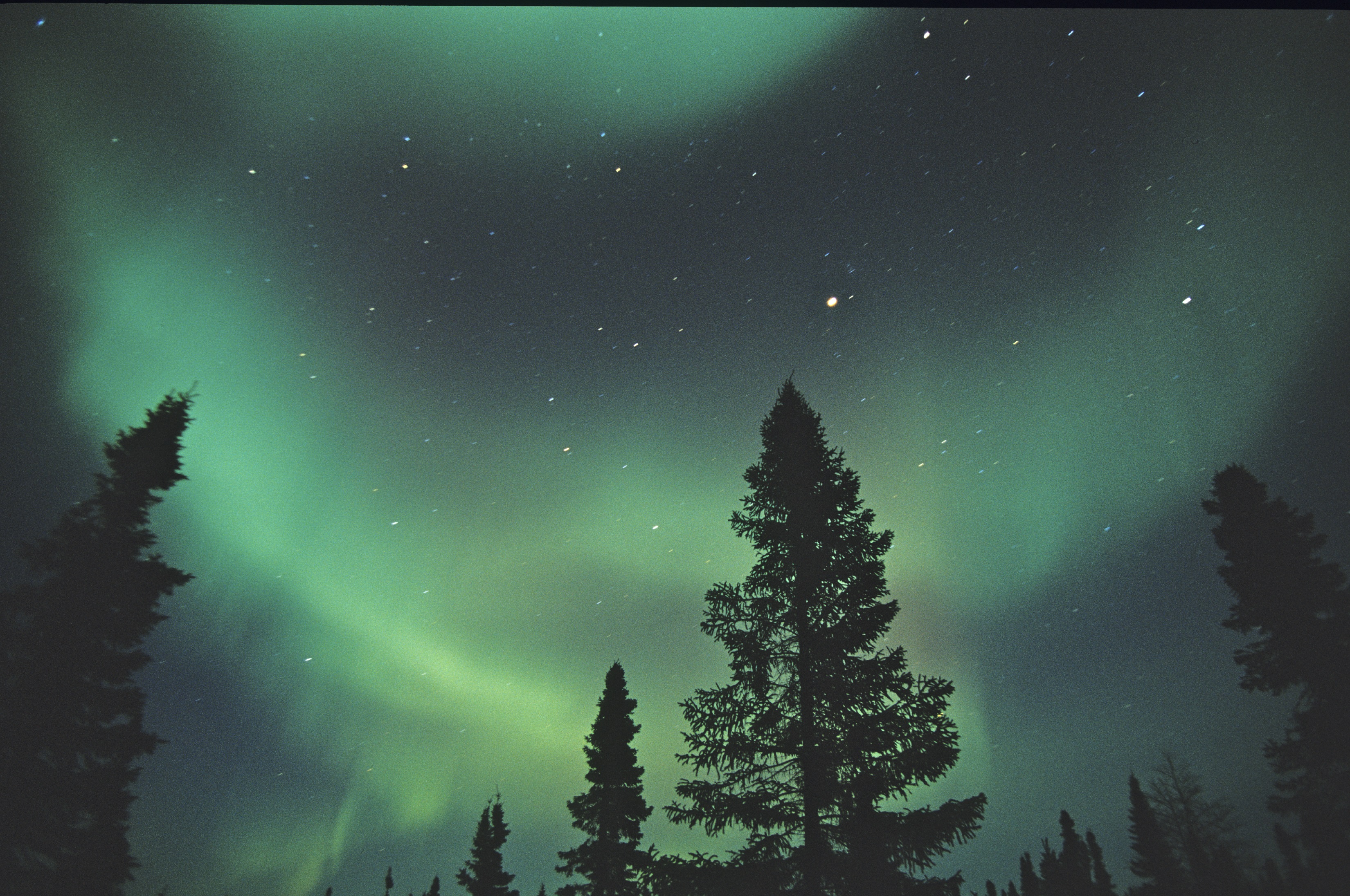 Churchill Polar Bear Adventure: Tundra & Town
