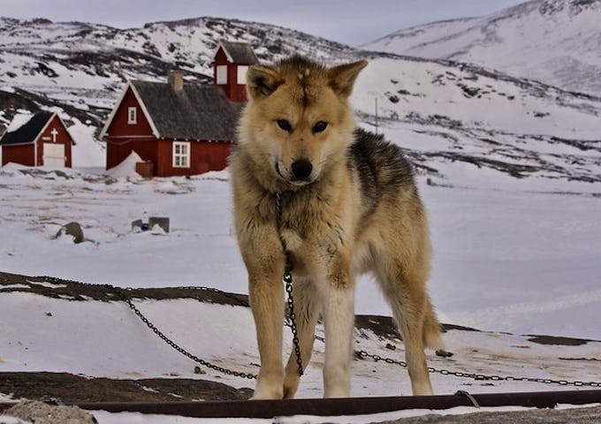 Land-based Arctic travel