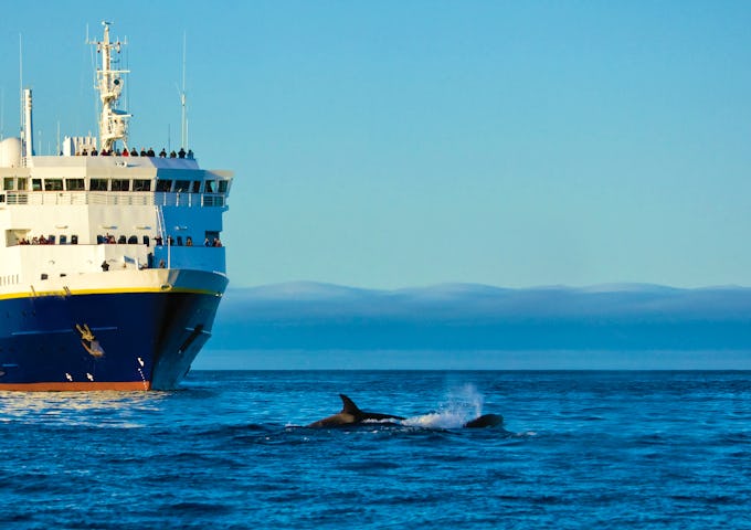 National Geographic Explorer