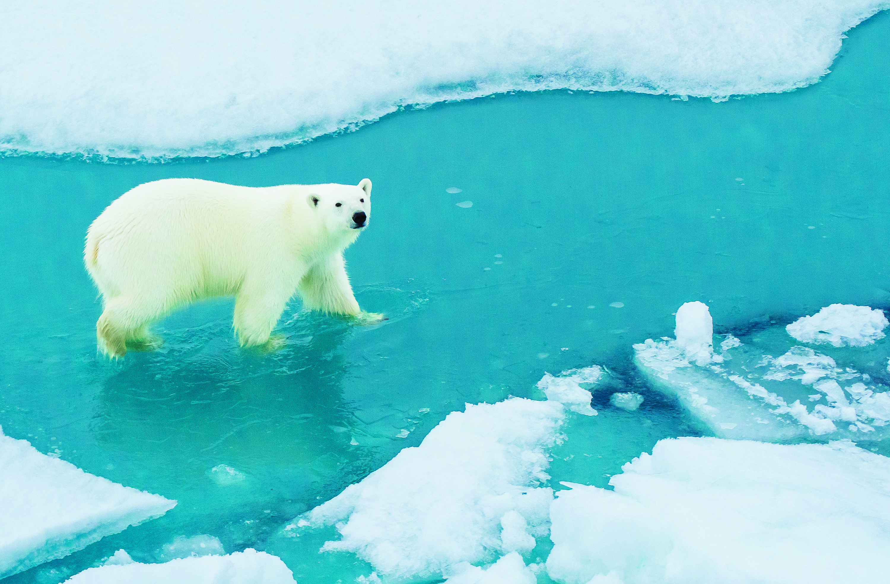 Northwest Passage In Depth: Greenland to Alaska