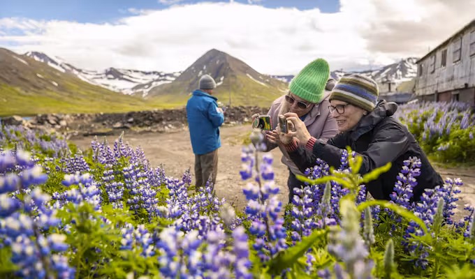 Iceland Circumnavigation