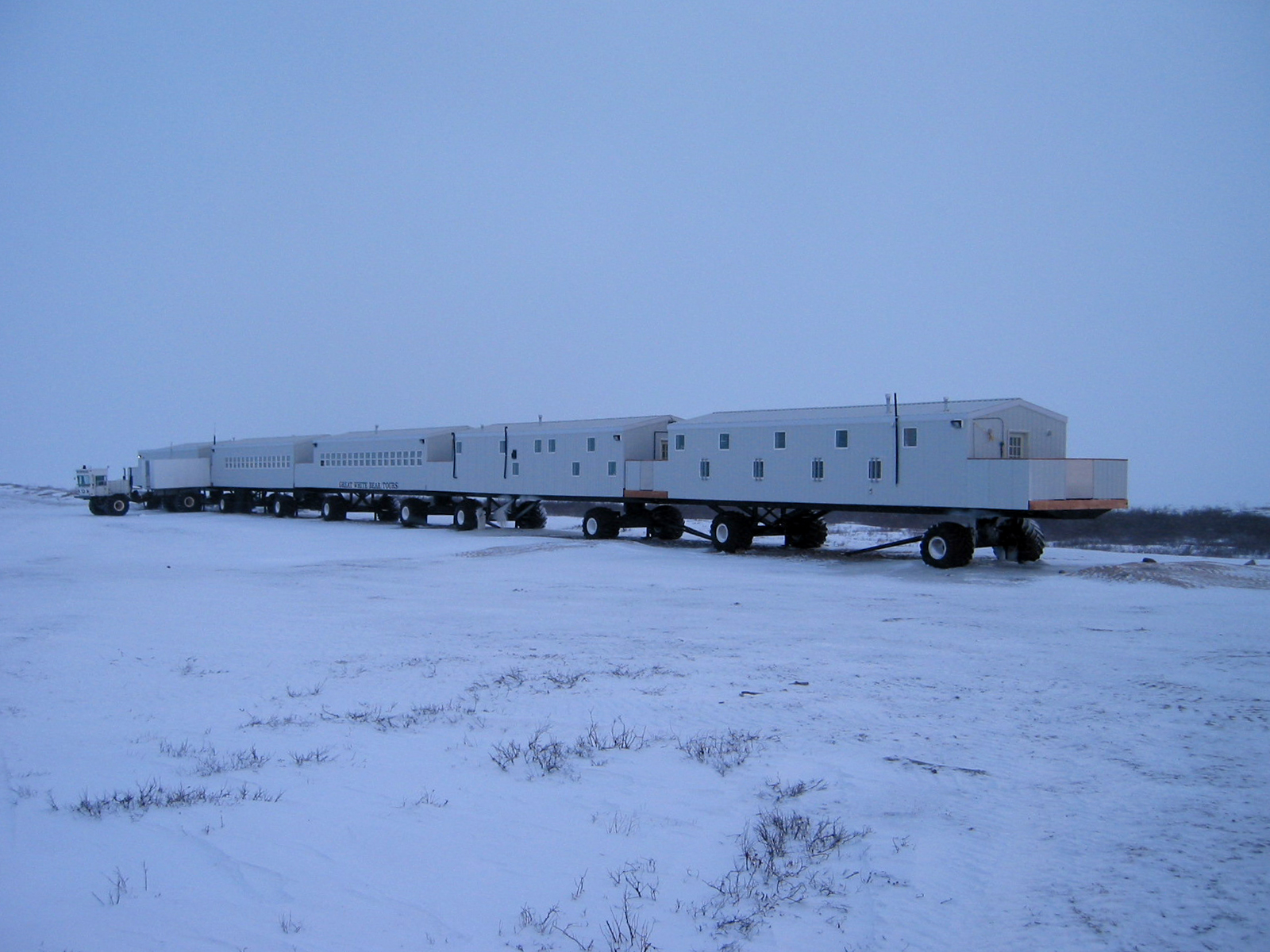 Churchill Polar Bear Adventure: Tundra & Town