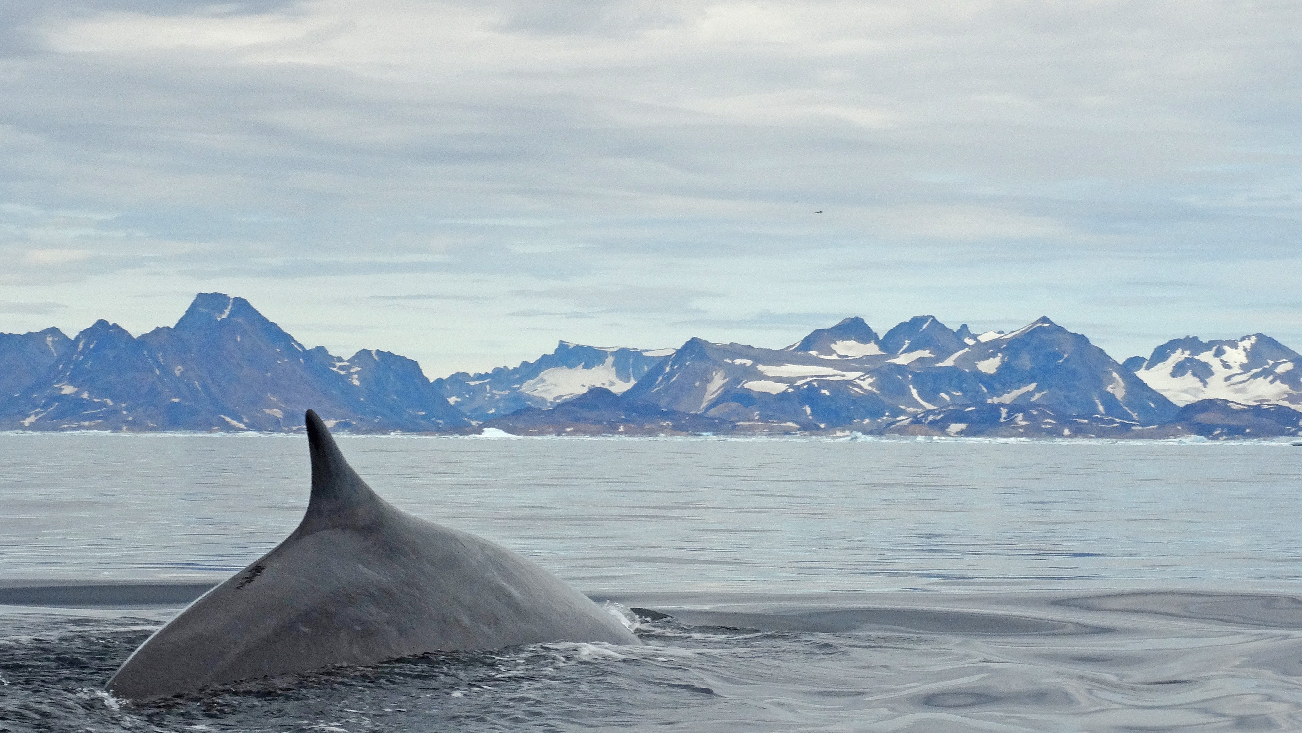 Basecamp Greenland: Into the Wilderness