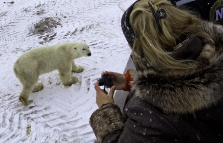 Photography in the Arctic