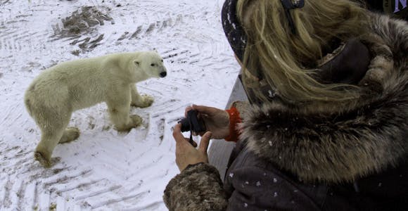 Photography in the Arctic