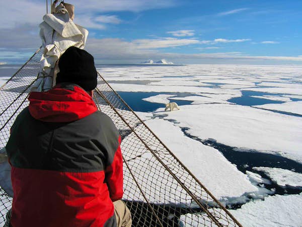 Polar bear spotting from the bow of your sailing ship