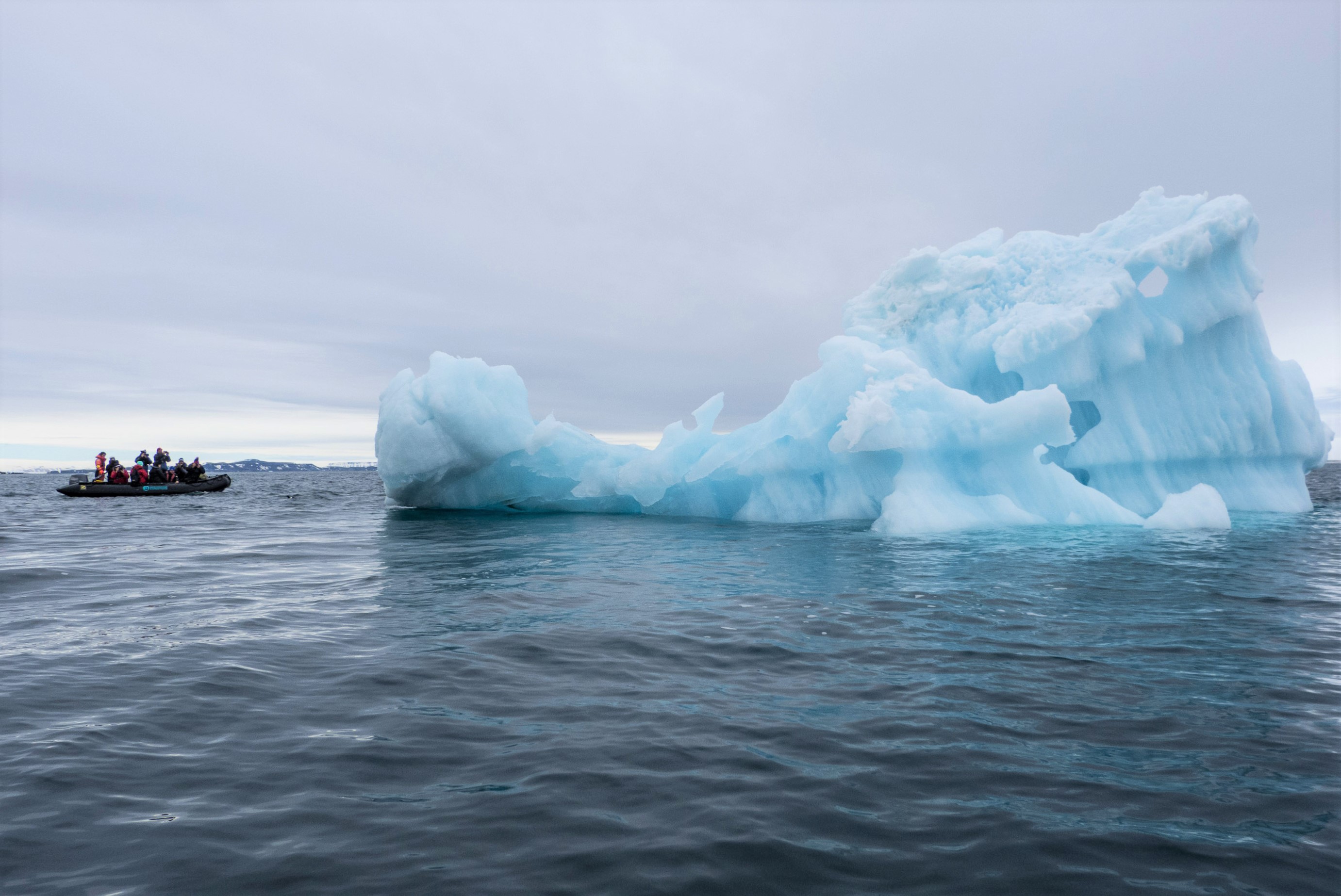 Kingdom of the Ice Bear