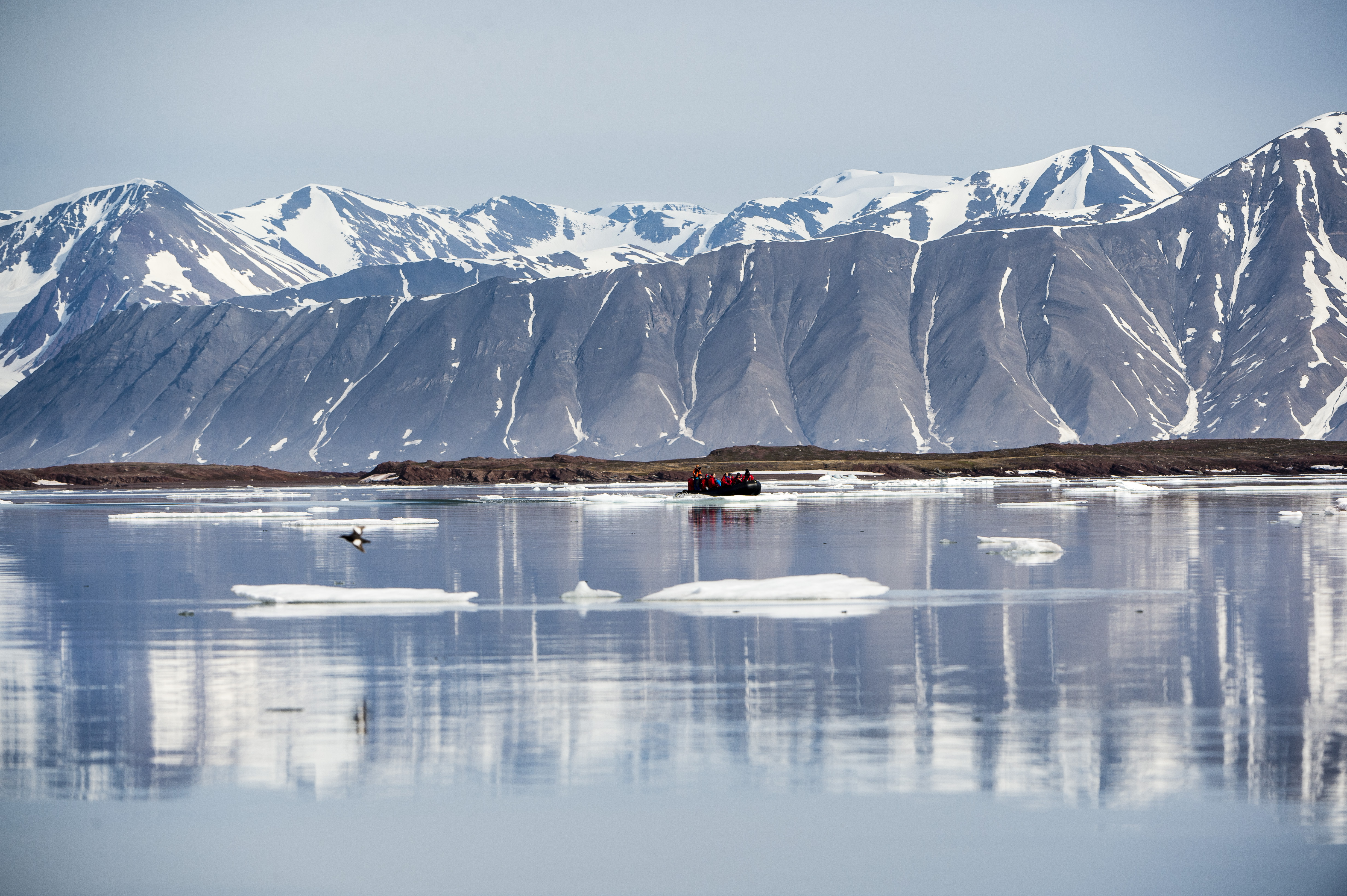 Internet & Electricity