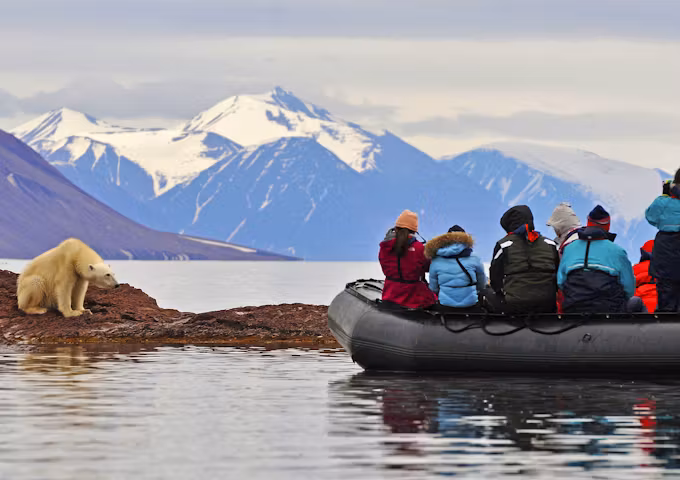 Polar Bear Tours