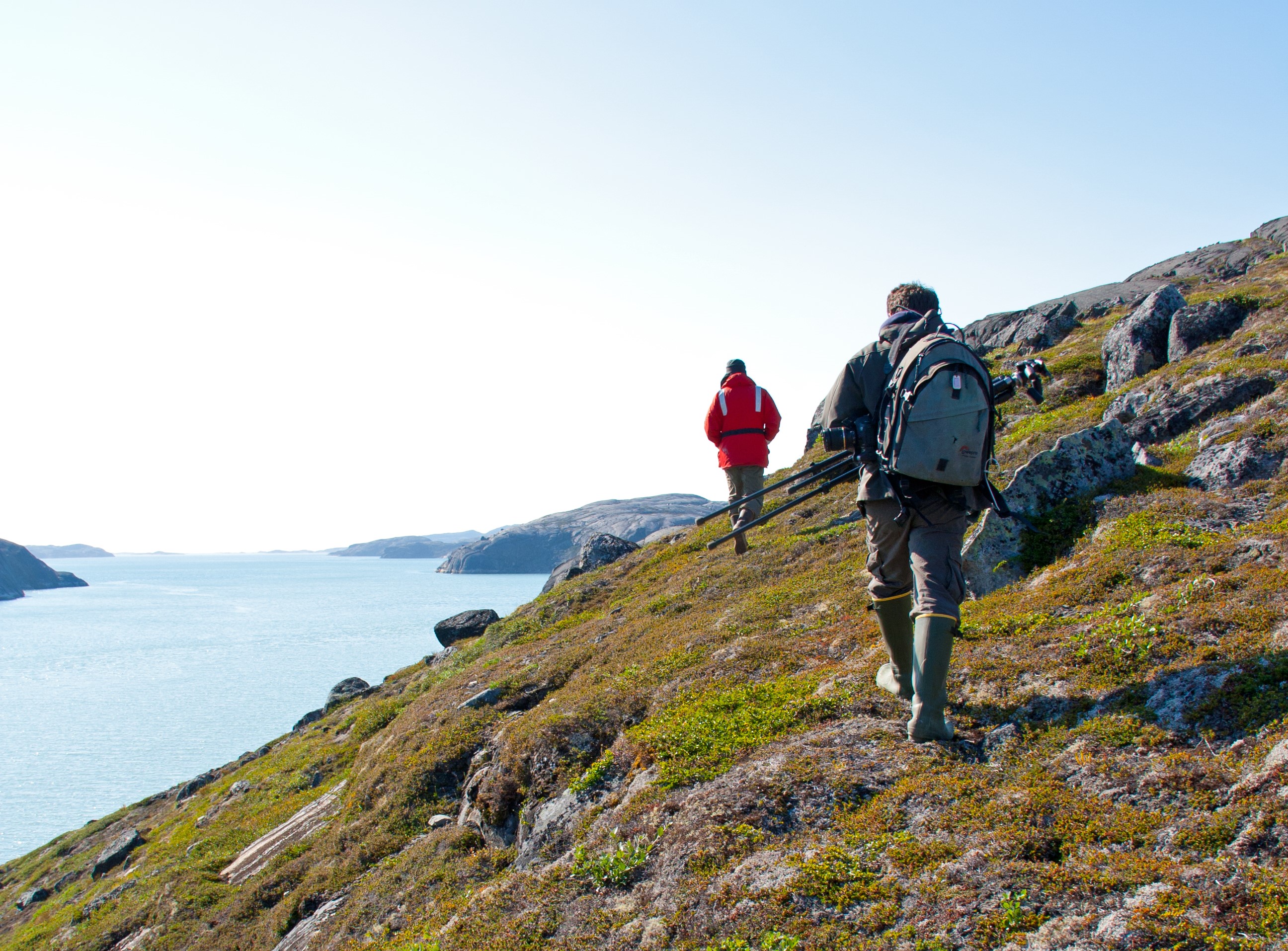 Returning home from the Arctic