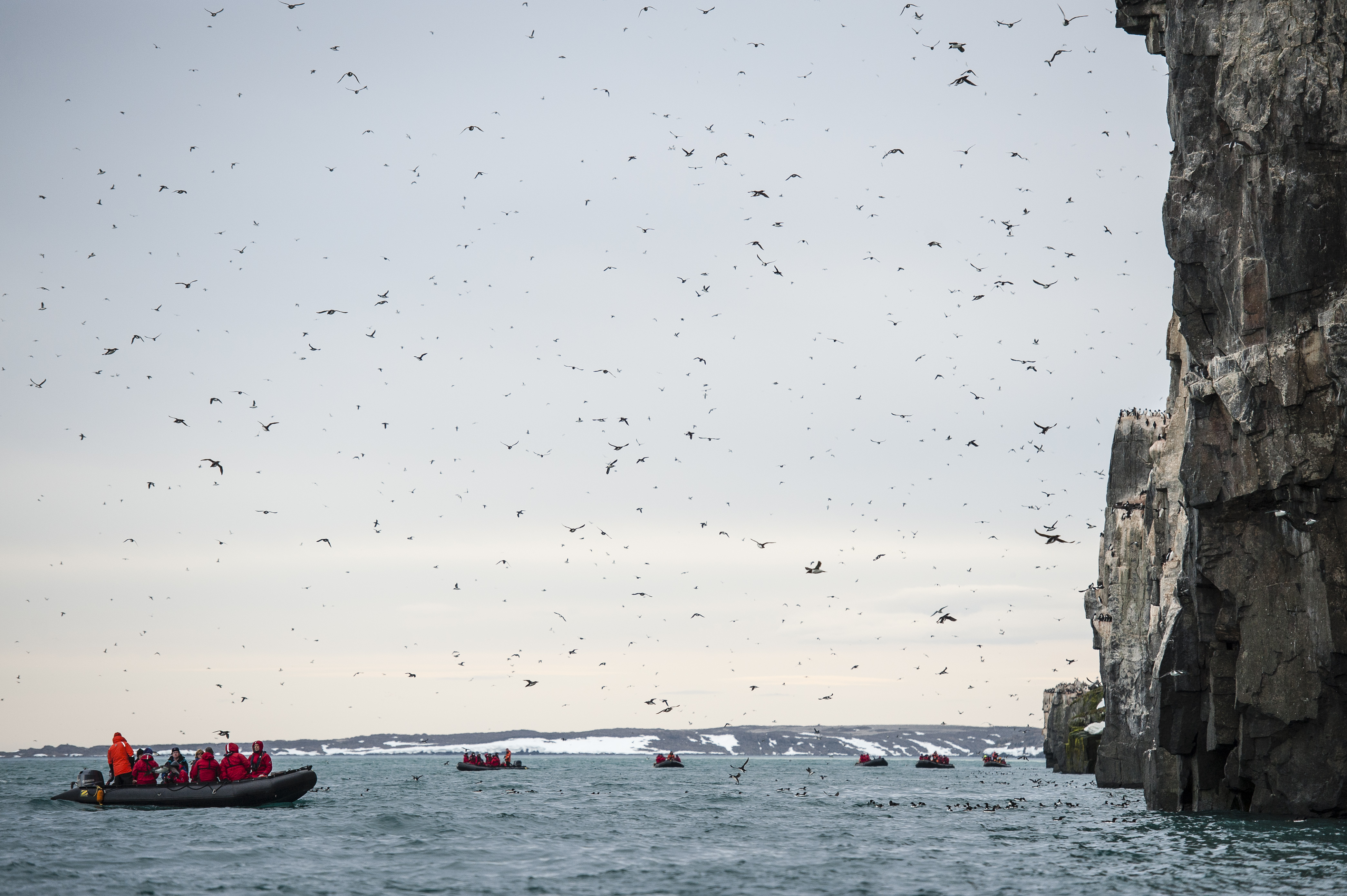 Svalbard Landing Sites