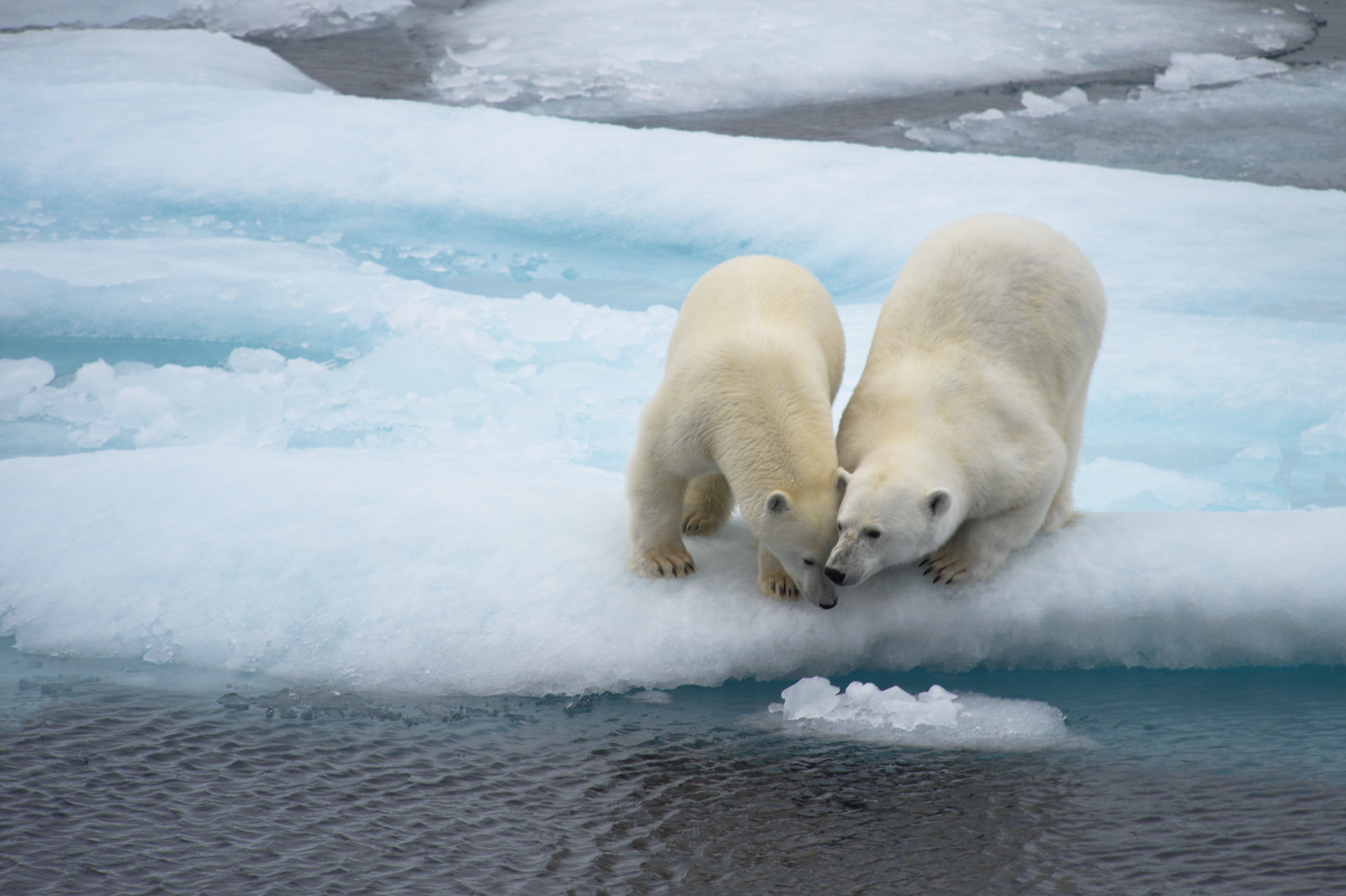Luxury West Greenland & Baffin Island