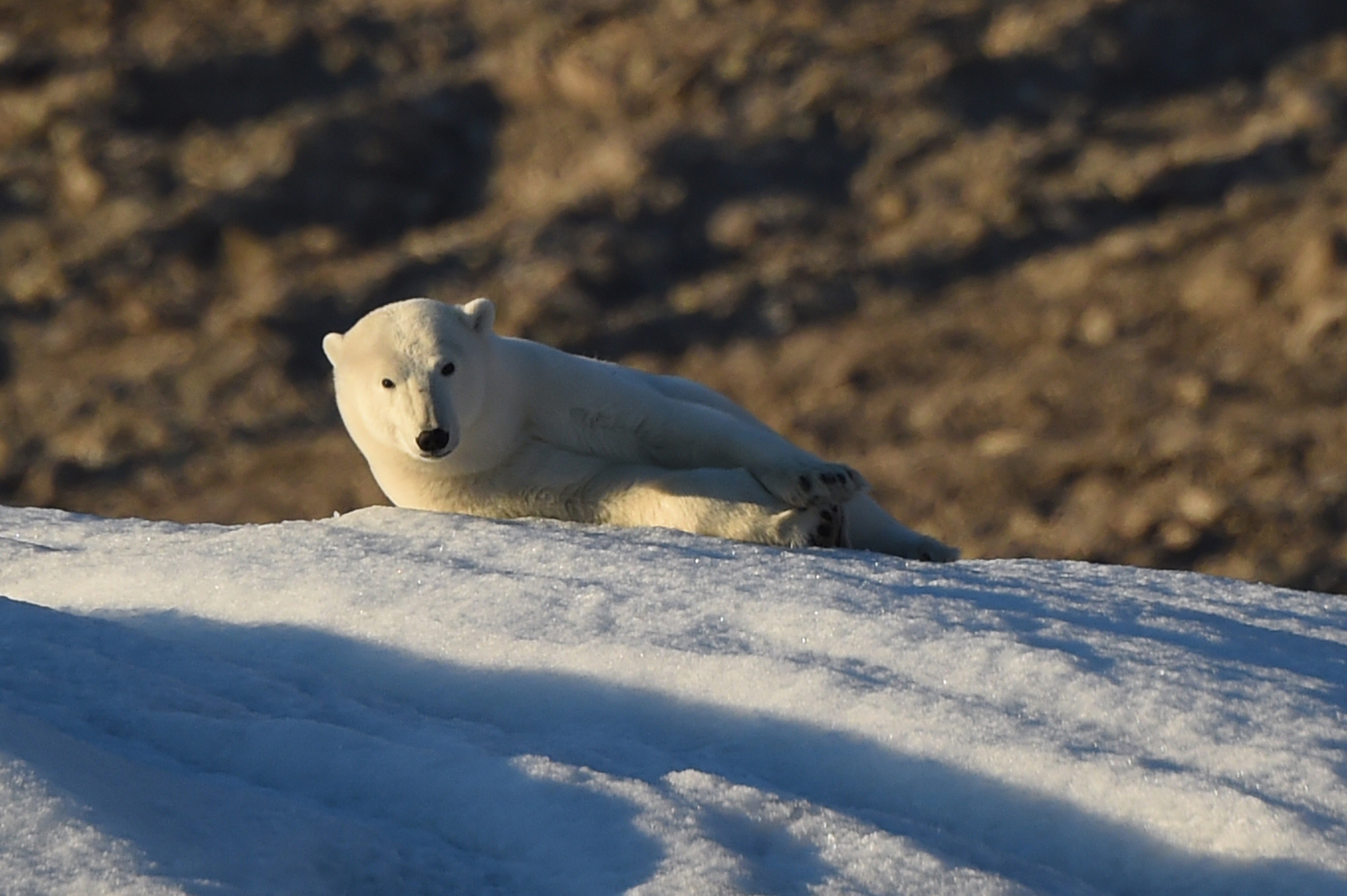 Luxury Highlights of Svalbard