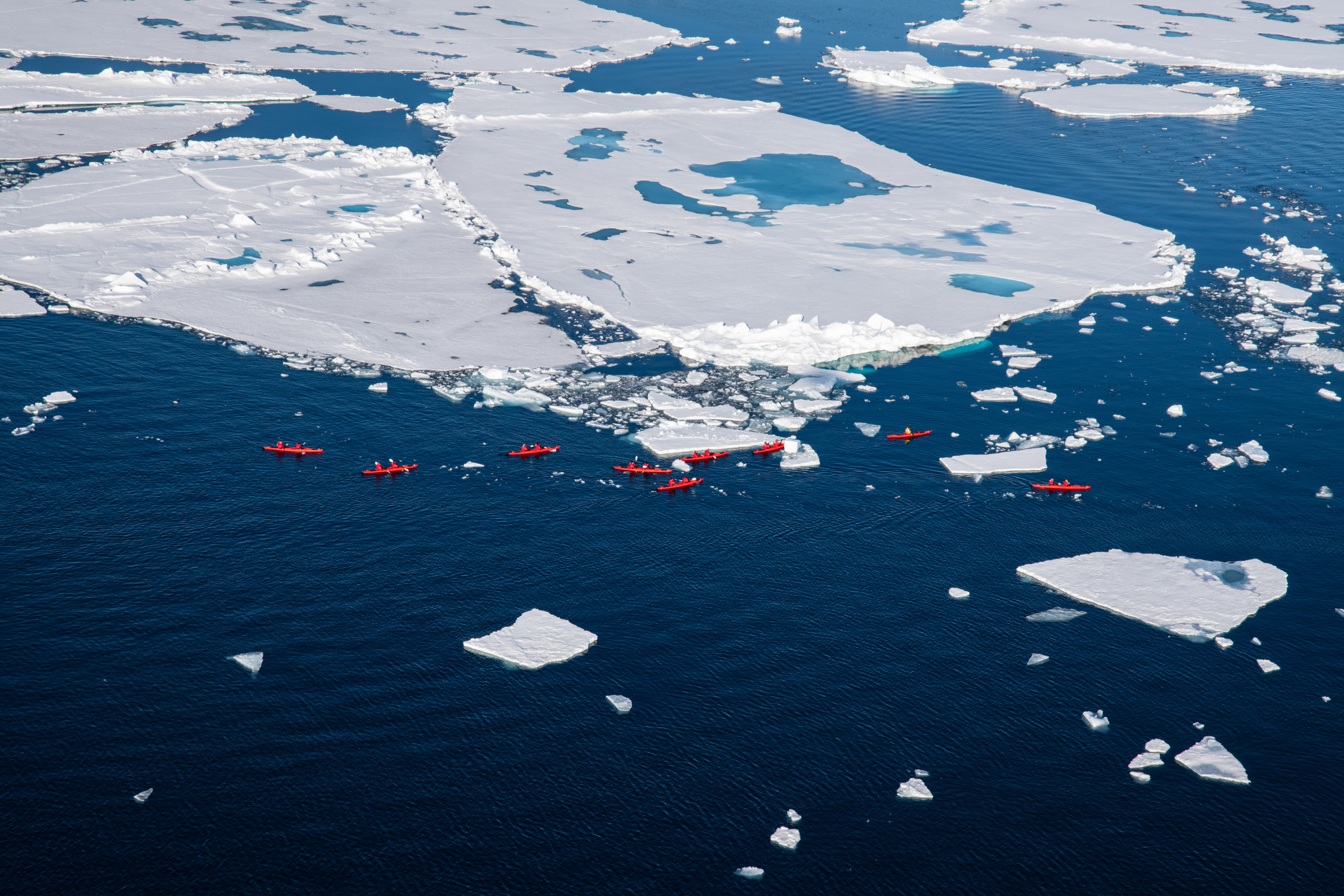 Kayaking excursion in the Arctic