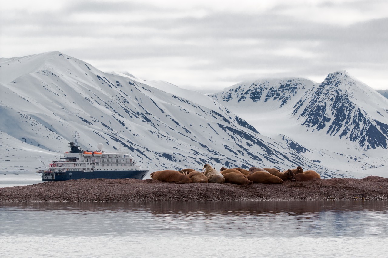 Visas & Travel Documentation