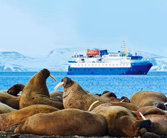 PQU_4_EDVARSSON_RTD_QUEST_WALRUS_VESSEL