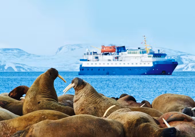 PQU_4_EDVARSSON_RTD_QUEST_WALRUS_VESSEL