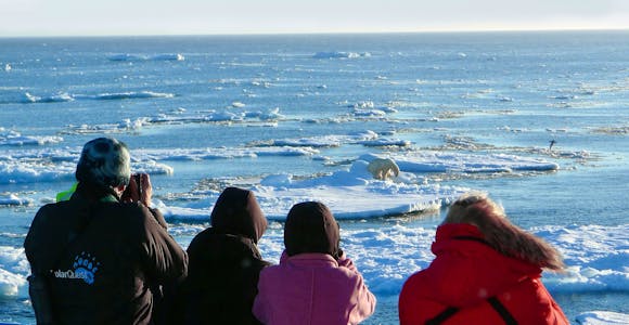 PQU_4_PQU_RTD_QUEST_PAX_VIEW_POLAR_BEAR