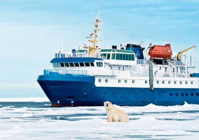 PQU_4_PQU_RTD_QUEST_POLAR_BEAR