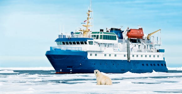 PQU_4_PQU_RTD_QUEST_POLAR_BEAR