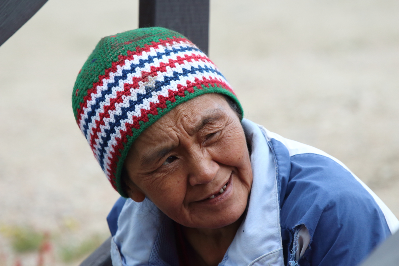 Southern Greenland: Vikings & Big Ice