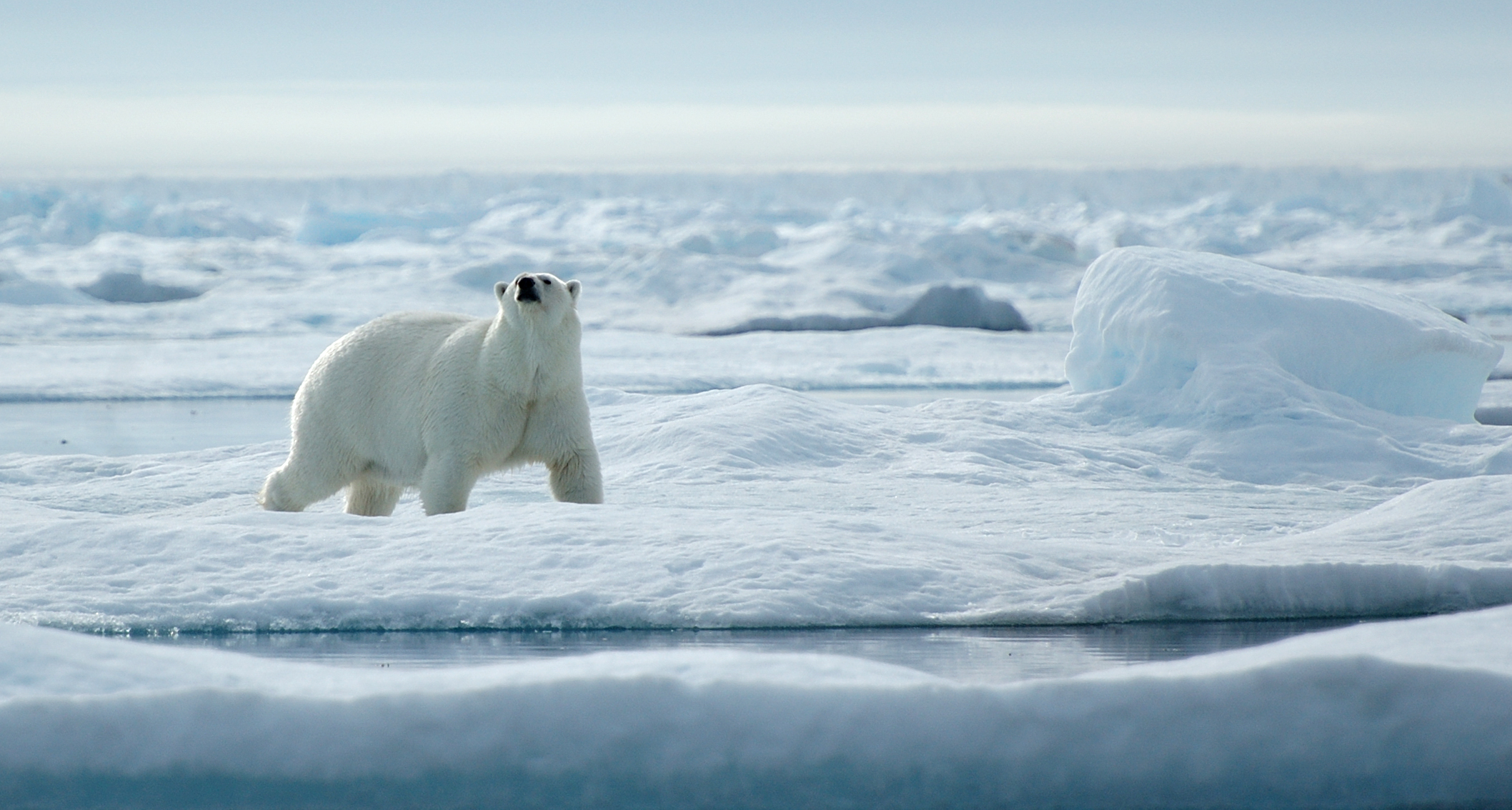 Ultima Thule Northwest Passage West Greenland Swoop Arctic