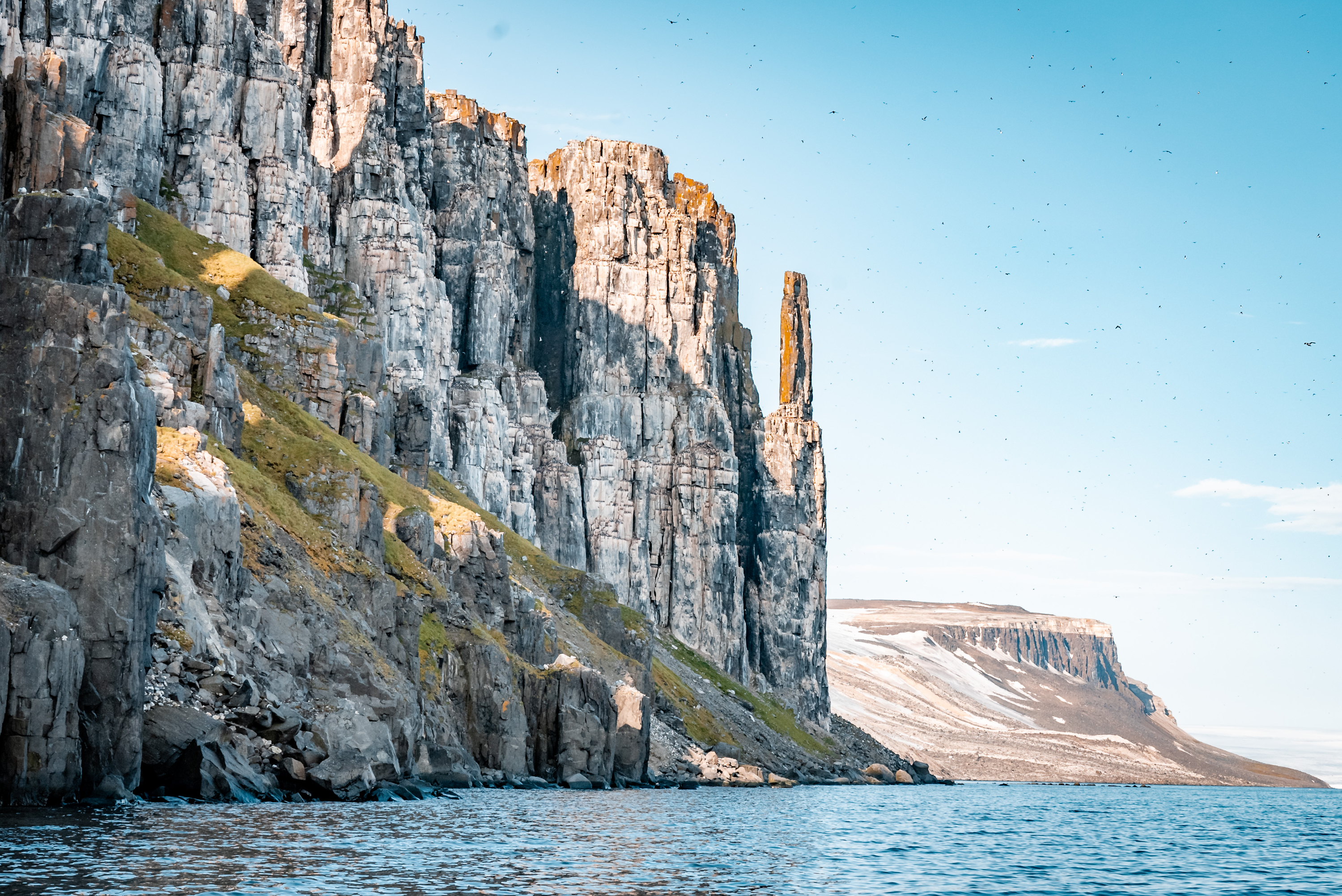 Alkefjellet bird rock, Svalbard