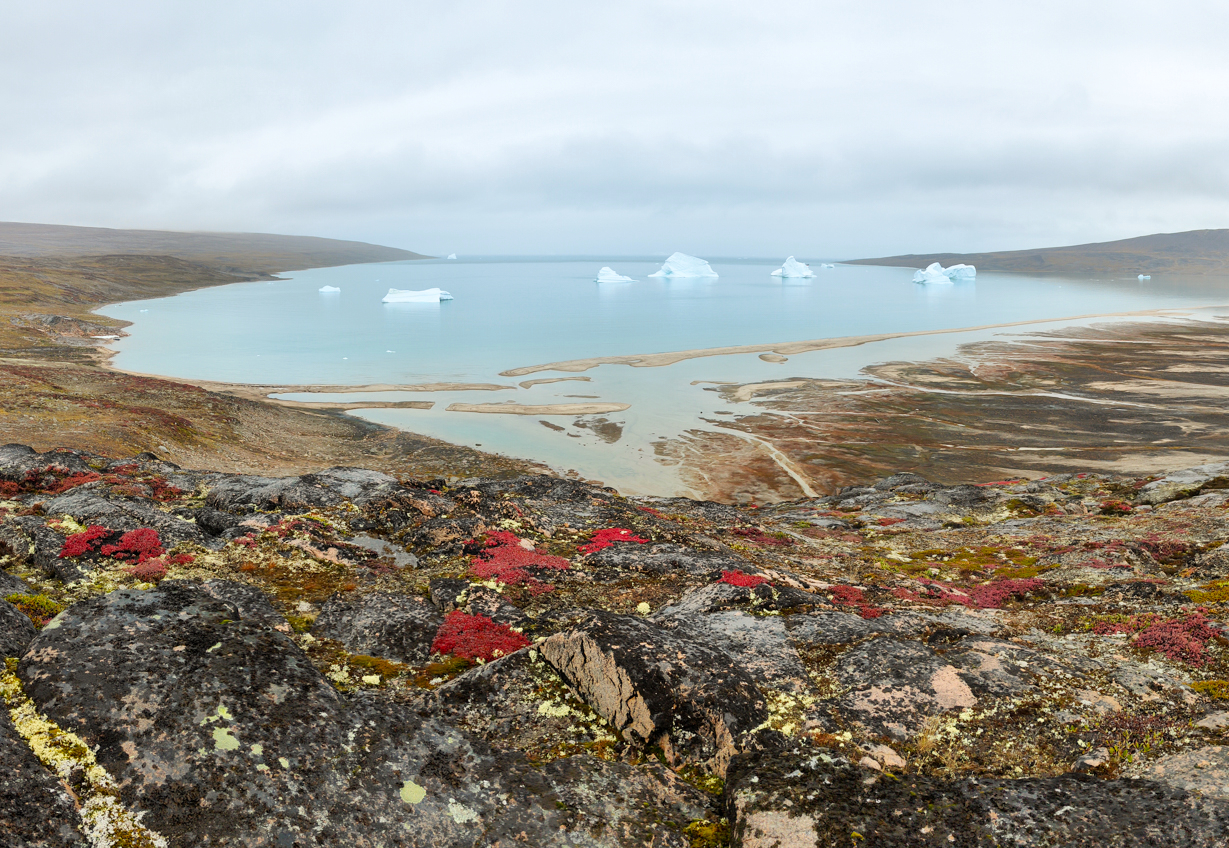 Tundra landscape in Scoresbysund, Greenland