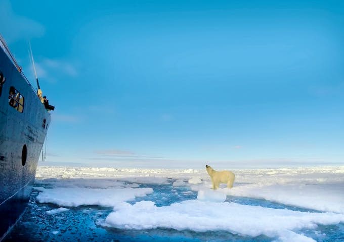 STOCK_4_STOCK_RTD_STOCKHOLMANDPOLARBEAR