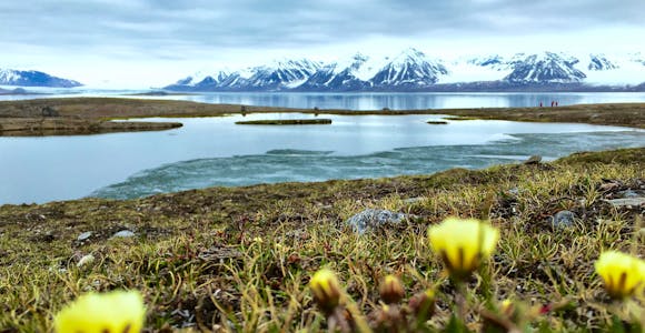 When to visit Svalbard