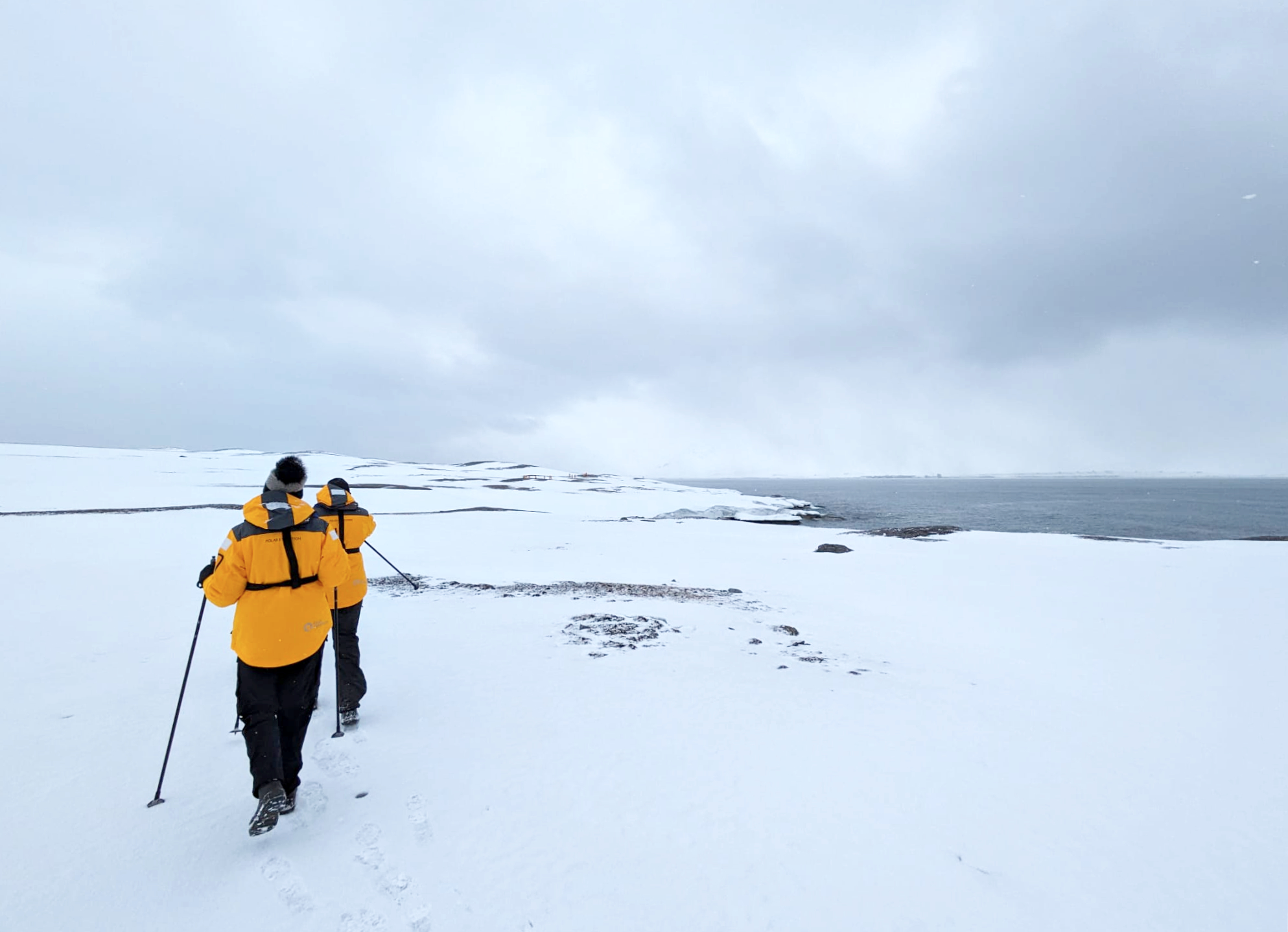 Wandering through Arctic snow