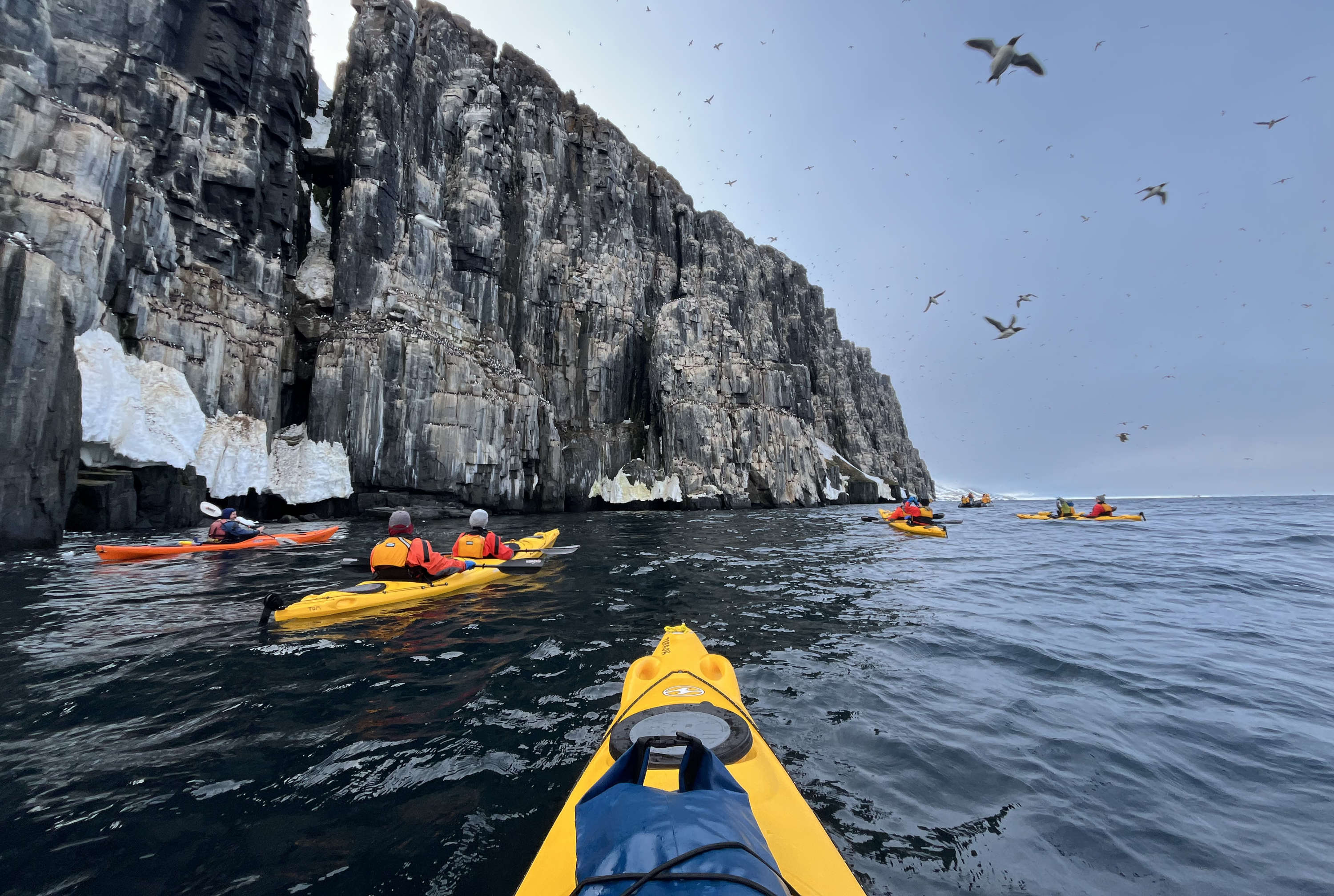 Kayaking at Alkefjellet, Svalbard