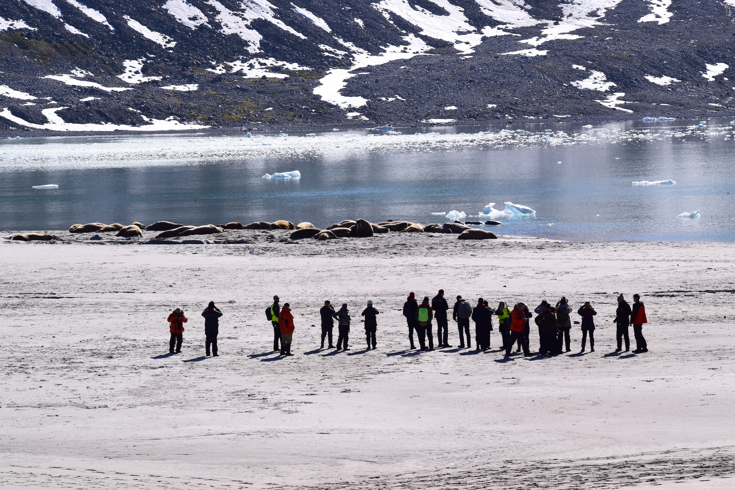 A group of expedition cruise passengers explore a landing site on Svalbard, the Arctic