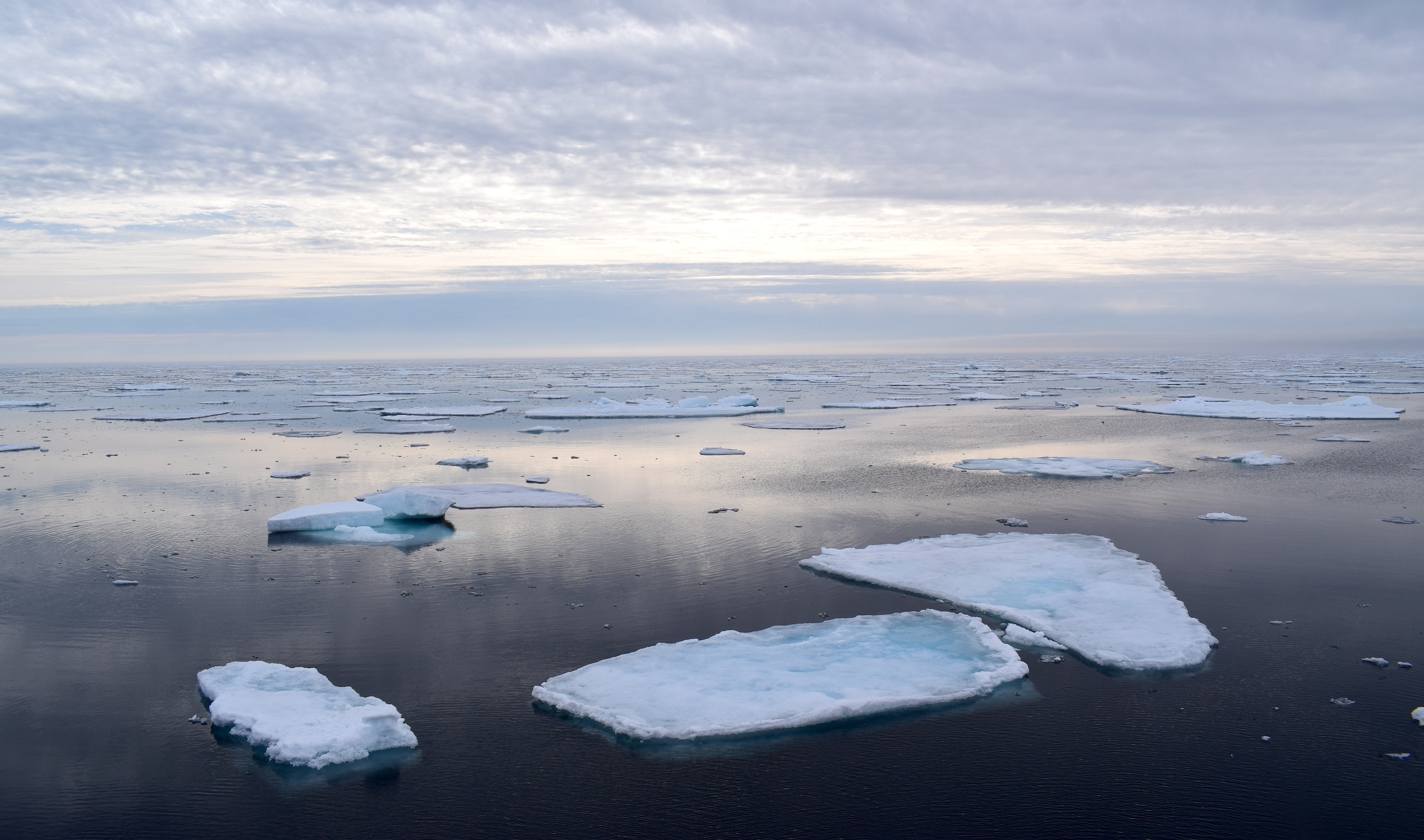 Ice in the water in Svalbard, the Arctic