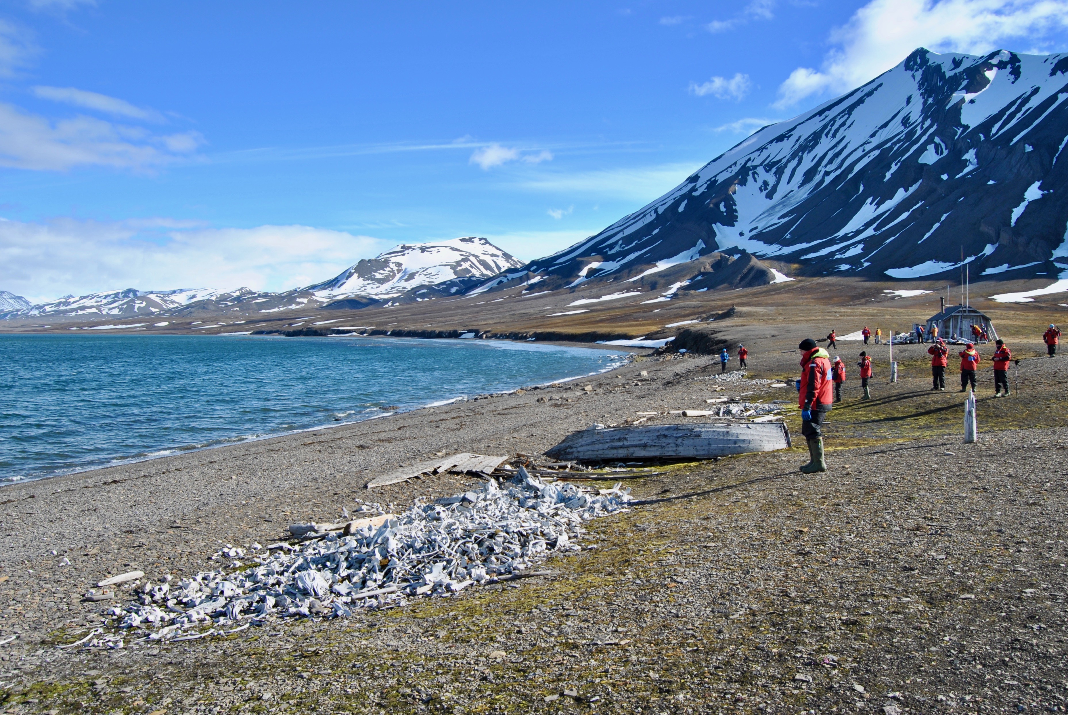 Svalbard Cruises